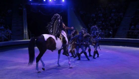 Цирк «Дикая планета»