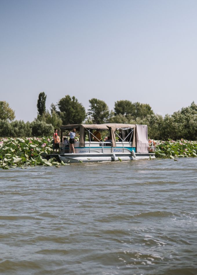 Тур на лотосовые поля