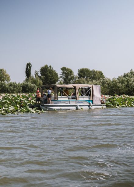 Тур на лотосовые поля