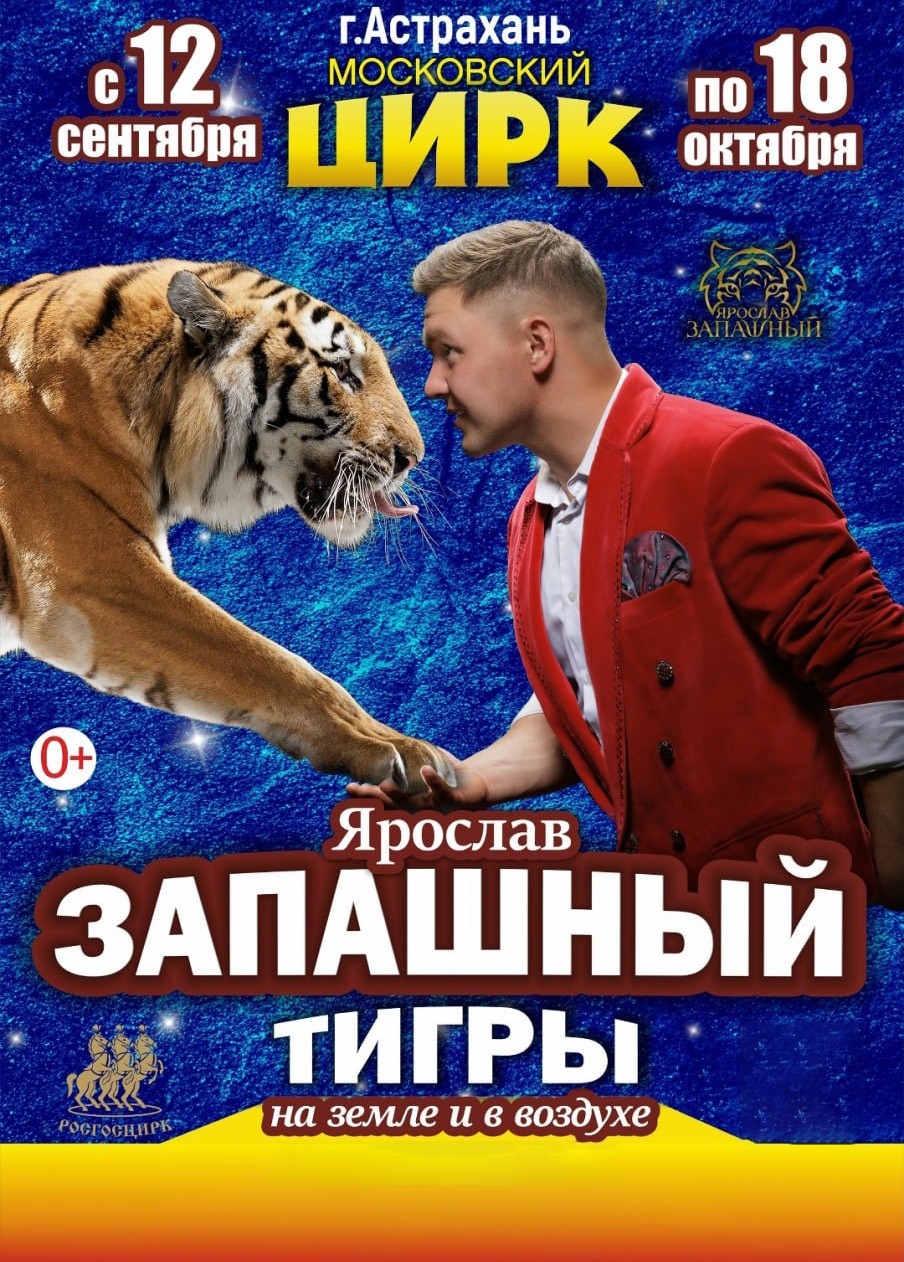 Тигры на земле и в воздухе